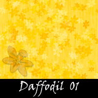 Daffodil Backdrops